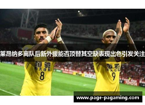 莱昂纳多离队后新外援能否顶替其空缺表现出色引发关注