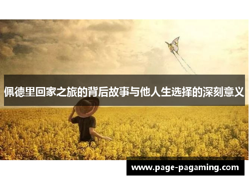 佩德里回家之旅的背后故事与他人生选择的深刻意义