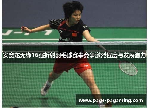 安赛龙无缘16强折射羽毛球赛事竞争激烈程度与发展潜力