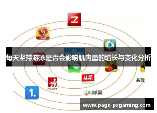 每天坚持游泳是否会影响肌肉量的增长与变化分析