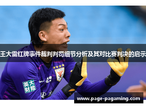 王大雷红牌事件裁判判罚细节分析及其对比赛判决的启示