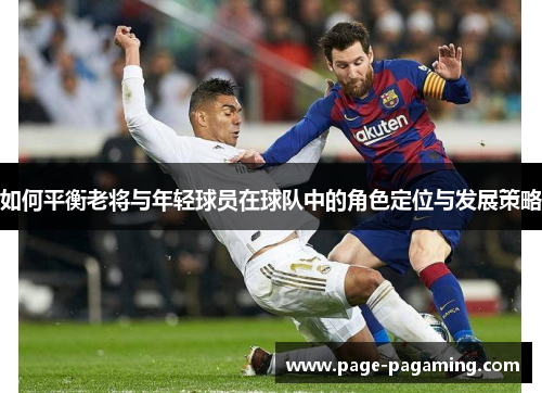 如何平衡老将与年轻球员在球队中的角色定位与发展策略