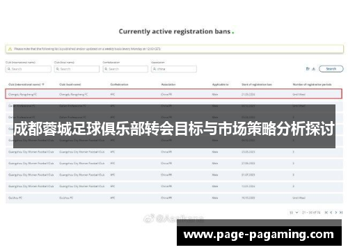 成都蓉城足球俱乐部转会目标与市场策略分析探讨