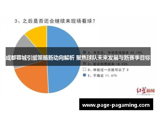成都蓉城引援策略新动向解析 聚焦球队未来发展与新赛季目标