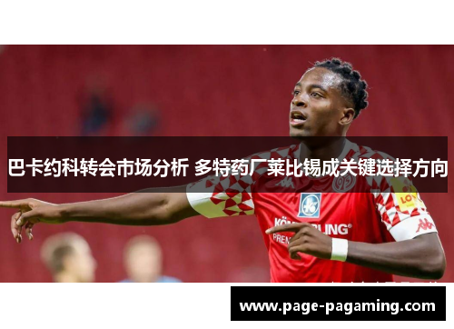 巴卡约科转会市场分析 多特药厂莱比锡成关键选择方向