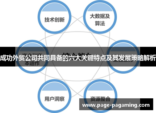 成功外贸公司共同具备的六大关键特点及其发展策略解析