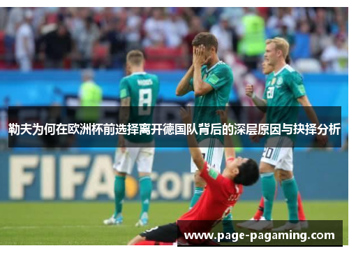 勒夫为何在欧洲杯前选择离开德国队背后的深层原因与抉择分析