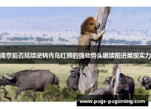 南京能否延续逆转青岛红狮的强劲势头继续前进展现实力