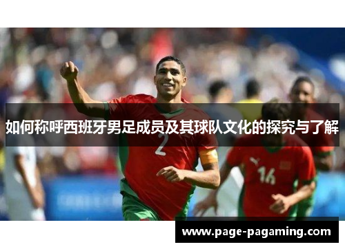 如何称呼西班牙男足成员及其球队文化的探究与了解