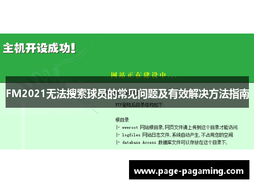 FM2021无法搜索球员的常见问题及有效解决方法指南