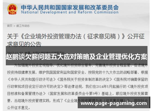 赵鹏谈欠薪问题五大应对策略及企业管理优化方案